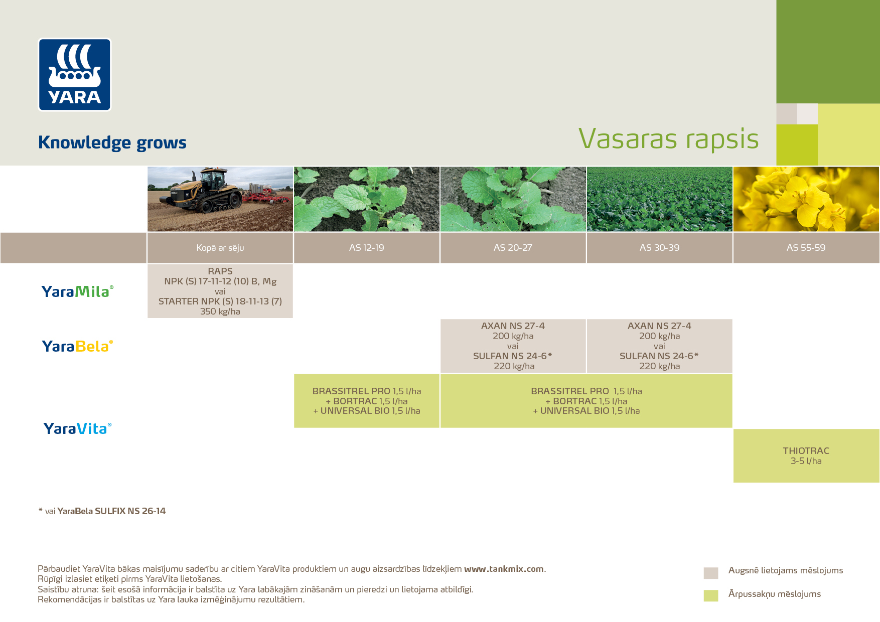 200223AS1 Vasaras rapsis.jpg