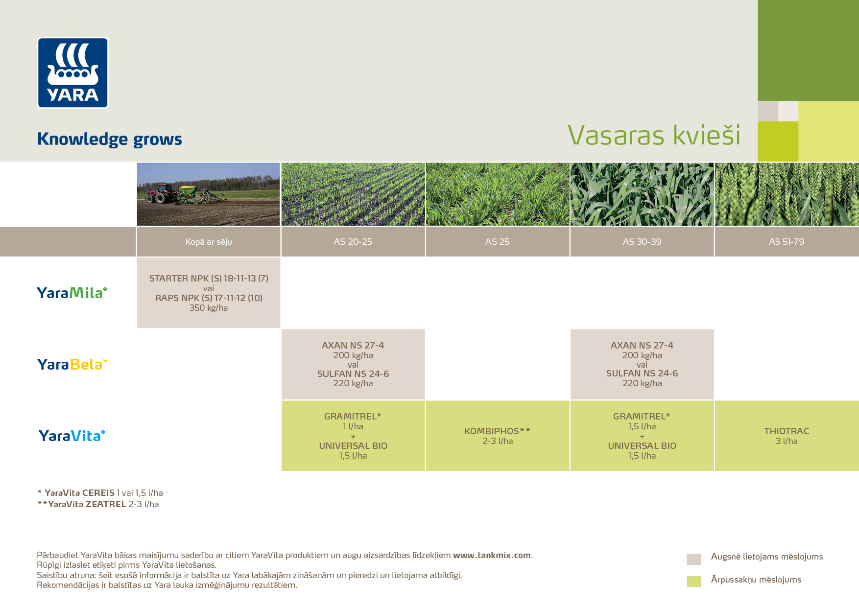 200223AS1 Vasaras kvies╠īi.jpg