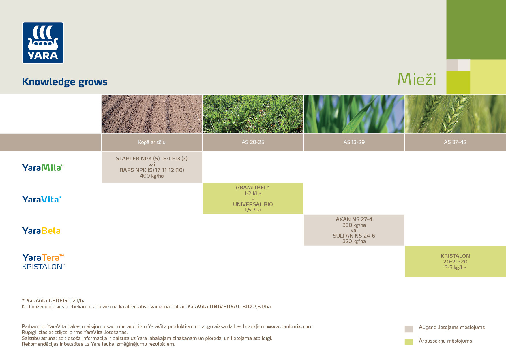 200223AS1 Miez╠īi.jpg