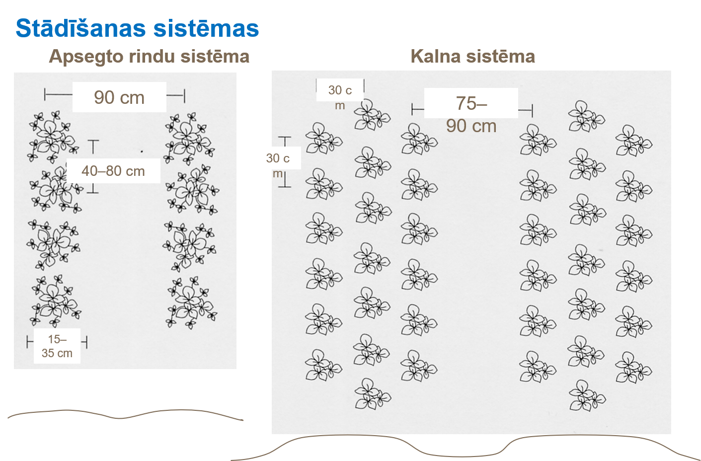 Stādīšanas sistēmas.png