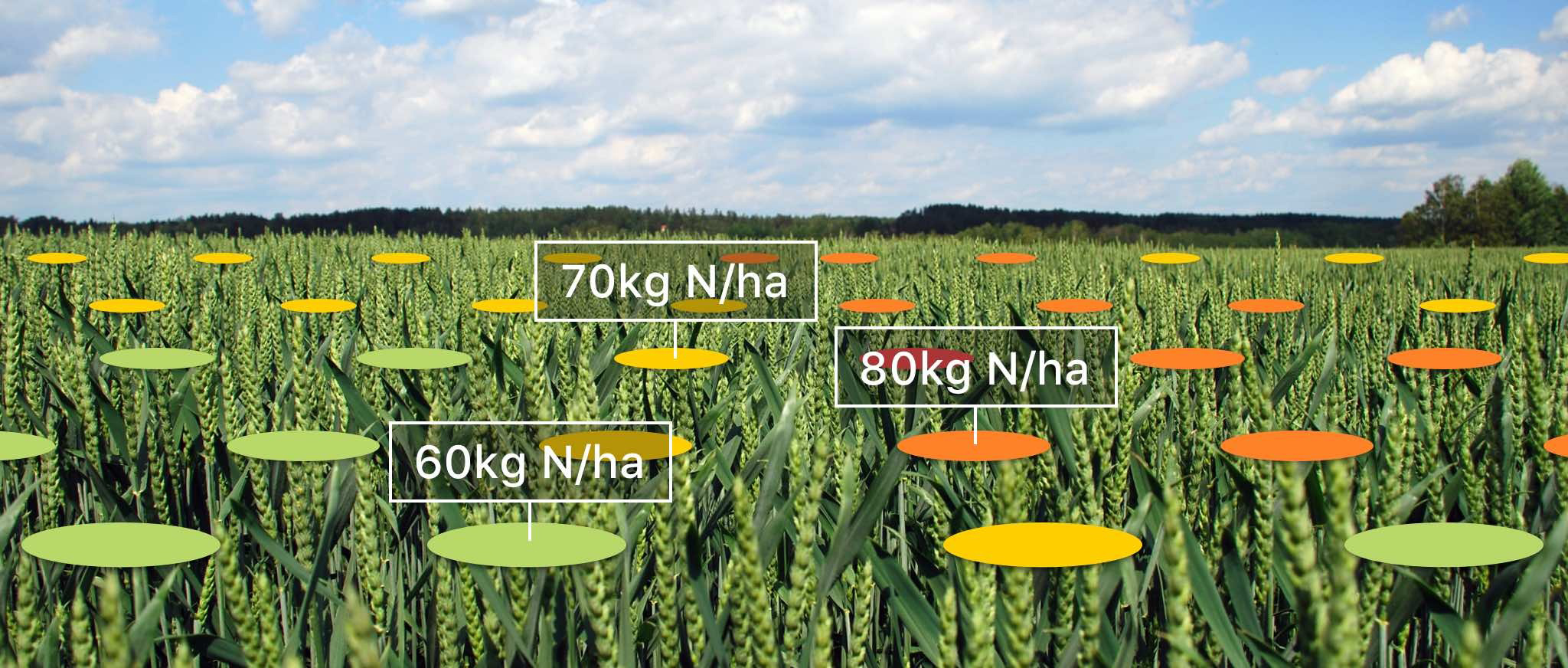 Atfarm tehniskais atbalsts